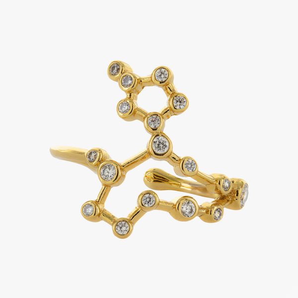 Pisces Adjustable Zodiac Ring