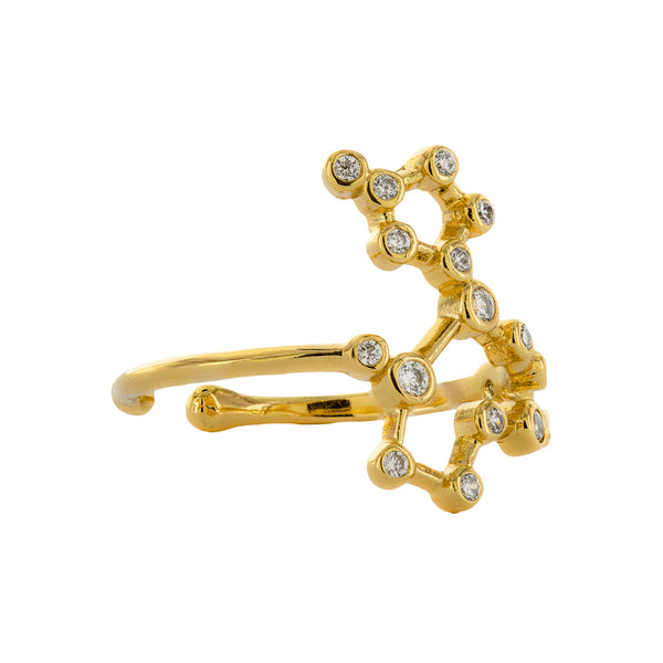 Pisces Adjustable Zodiac Ring
