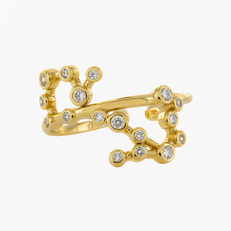 Scorpio Adjustable Zodiac Ring – Melios Jewelry